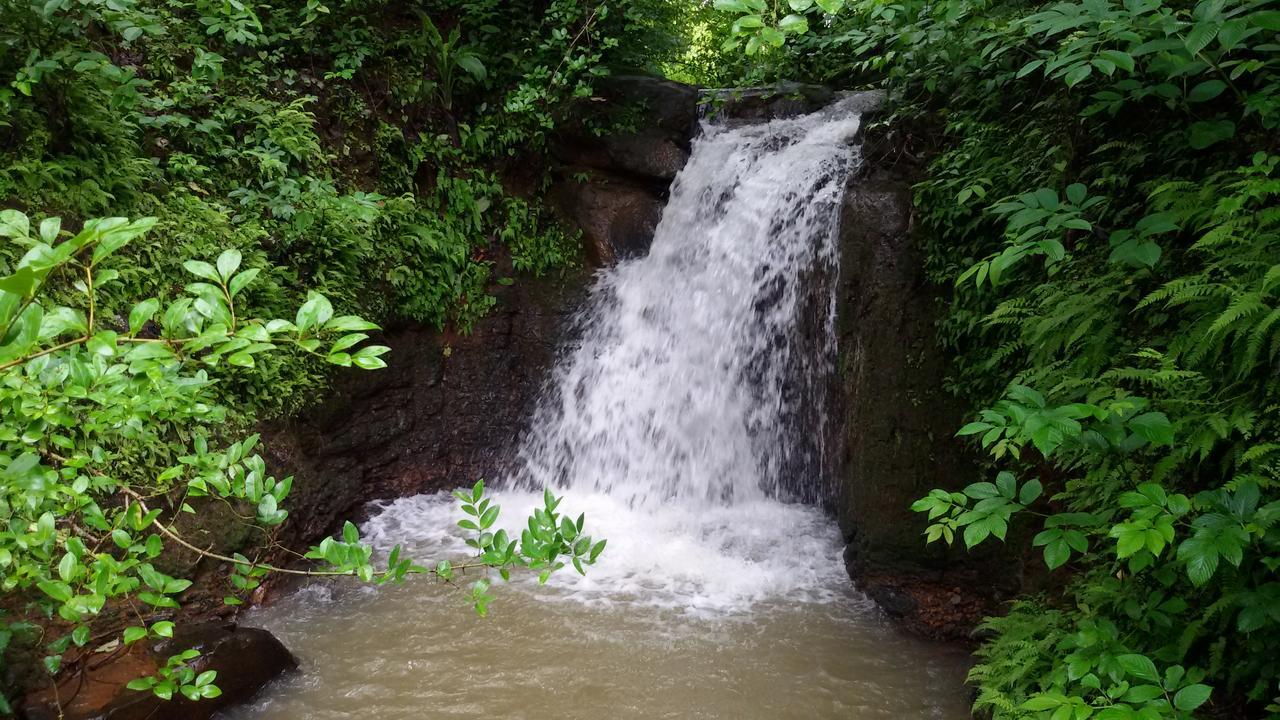 Cherilyn Monta Resort - Ratnagiri Vatul Exteriér fotografie